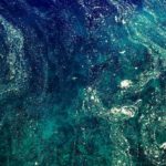 De Recs à riches: redécouvrir la ville avec de vraies recommandations