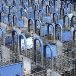 La Polar Vantage 3 est-elle à la hauteur?