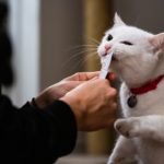 De la serveuse à la Silicon Valley… Ils ont vraiment bien mijoté leur coup !