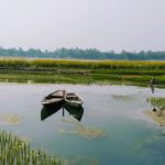 C’est meugler sans vache ! La start-up Bon Vivant réinvente le lait