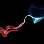 Google Meet lève la main et la technologie lui tape dans l’œil