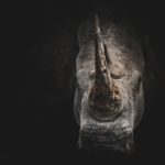 Intelligence Artifi-Ciel et Terre : Le ballet des annonces qui tombent à l’eau