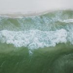 Trottinettes en déroute: Quand Bird bat de l’aile