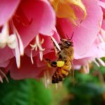 Fracture et Frayeurs : À Poignet Levé dans le Monde Virtuel