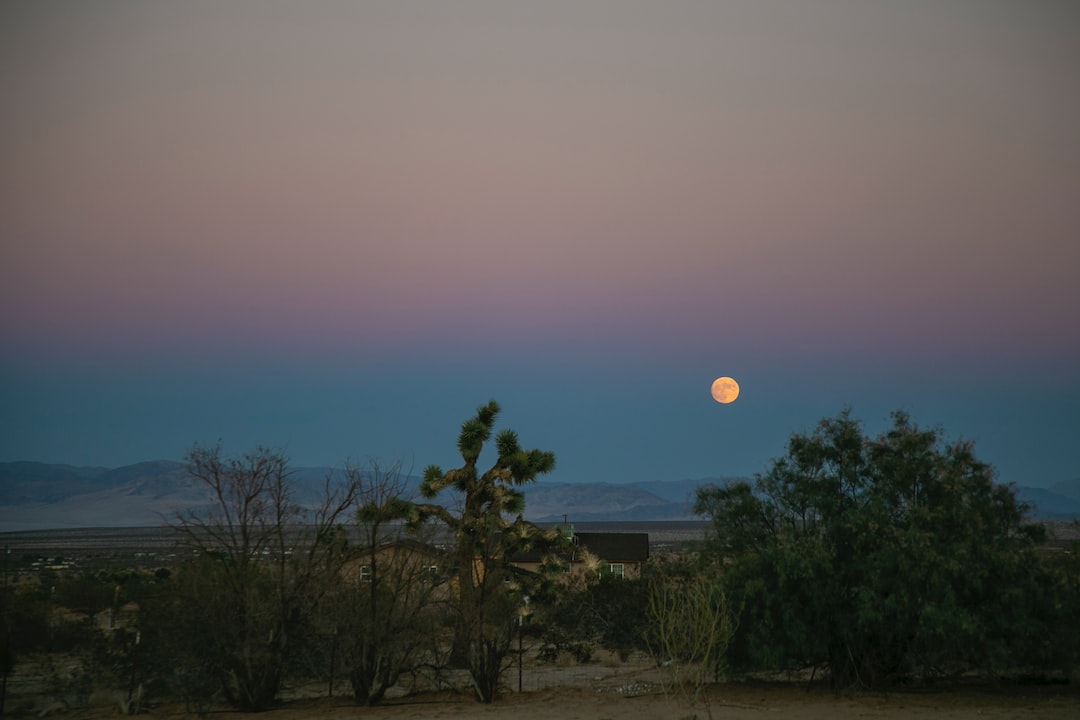 a full moon rises over a desert landscape