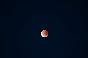 L’échec retentissant de Peregrine : un signe avant-coureur pour la conquête spatiale?