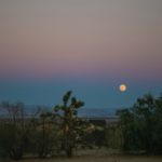 Game Over avant l’Over : The Day Before, un adieu prématuré