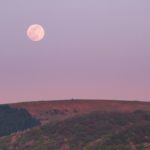 Game Over avant l’Over : The Day Before, un adieu prématuré