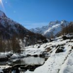 Palworld : Révolution ludique ou simple copie ?