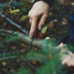 Google joue aux astres : Bard devient Gemini, un signe de renouveau IA.