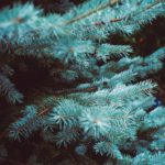 Brita s’offre un « Larq » en avant dans le smart game!