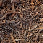 Meta face au menu RGPD : Consentir, Payer ou… Cookie ?