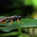 Les bases de données vont-elles redéfinir l’architecture logicielle ?