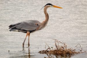 Apple et ses AirTags : Un « Pommier » Bien Trop Branché ?