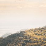 Thread : Tissez Votre Toile d’Actualité sans Perdre le Fil