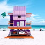 Échos de printemps : quand Amazon fait fleurir les économies