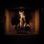 Accel et ses startups : Une recette pour le succès?