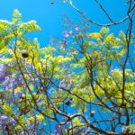 Meta AI : quand la diversité devient un concept trop abstrait