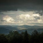 Les modèles d’IA foisonnent, mais tous sont-ils cruciaux pour l’avenir ?