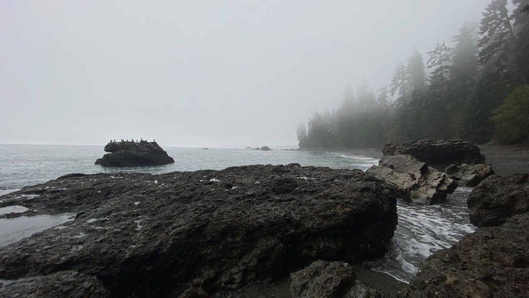 a foggy day at the beach with rocks and trees