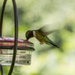 Quand Blizzard souffle le chaud et le froid sur BlizzCon