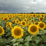 Les rois de la recharge : Les champions des batteries portables