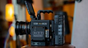 Amusements Gratuits : Oubliez la Carte Bancaire !