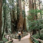 La capture 3D est-elle l’avenir du marketing en ligne ?