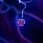 Comment Sēkr redéfinit-il la planification des voyages grâce à l’IA ?