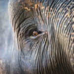 Pourquoi « Prison Architect 2 » est-il repoussé indéfiniment?