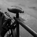 Survivor Vampires S’en Amusent