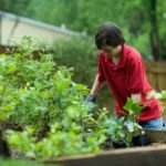 Détecterons-nous bientôt les civilisations extraterrestres grâce à leurs fermes solaires?