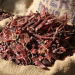 Zepto, de l’escargot au guépard