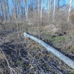 Amazon peut-il révolutionner les paiements en Inde?