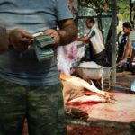 Faut-il choisir une liseuse couleur pour une meilleure expérience de lecture ?