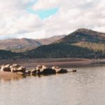 Trésor Caché et Clavier Forcé: Du Cloisonnement à La Clé Cassée!