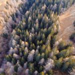 Les start-ups : un CES de gagnants