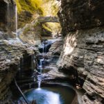 Les Puces Revoltantes : Quand le GPU tire son épingle du jeu