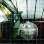 Que cache la décision d’Apple de bloquer TikTok et d’autres applications ?