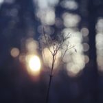 Jeux et Compte d’Abo