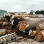 Meta-morphoses du Désert