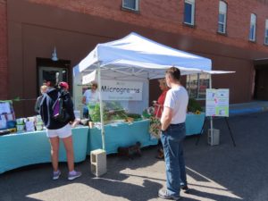 Les ventes de printemps d’Amazon façonnent-elles notre consommation technologique ?