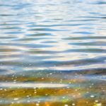 Quand ChatGPT a l’œil de Ghibli