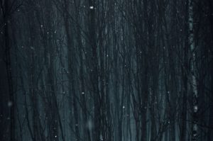 Mortal Shell II : révolution ou simple héritier des Soulslike ?