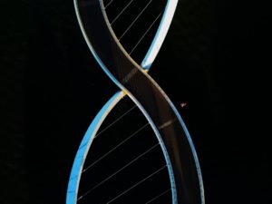 Qui détient vraiment 23andMe : privatisation de notre ADN ou reprise en main citoyenne ?