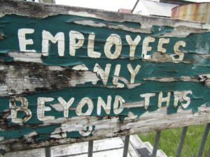 La course à la superintelligence : Meta prend-elle le contrôle des cerveaux de l’IA ?