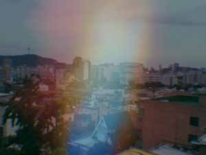 Canard ou pas canard, telle est la question numérique !