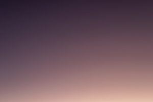 Greptile : Un code qui ne manque pas de pep’s !