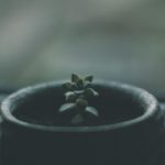 Les robotaxis chinois de Lyft peuvent-ils conquérir l’Europe ?