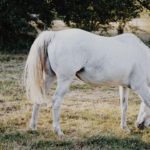 L’illusion du contrôle, la vraie disruption digitale ?